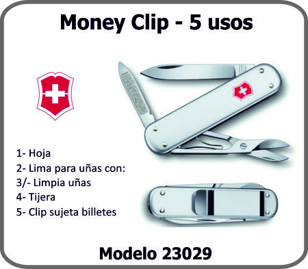 V23029