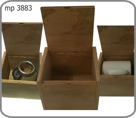 MP 3883