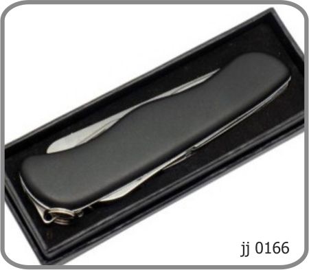 JJ 0166 / 8009