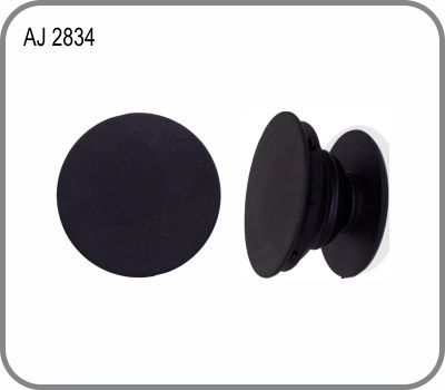 AJ 2834