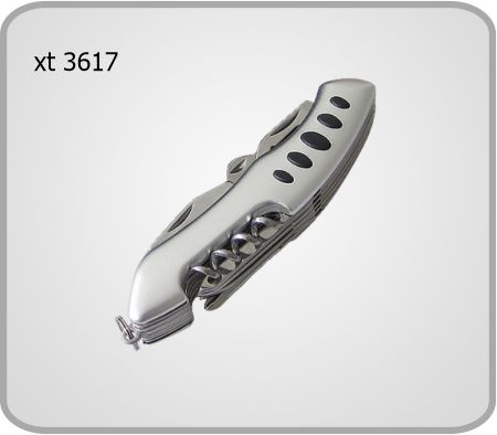 XT 3617