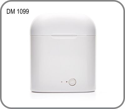DM 1099