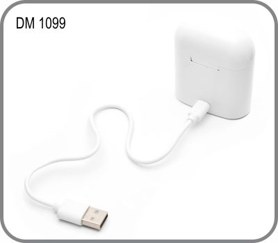 DM 1099