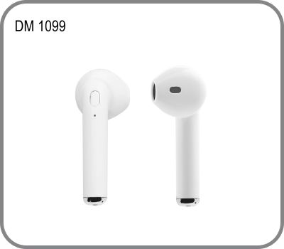 DM 1099