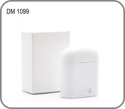 DM 1099