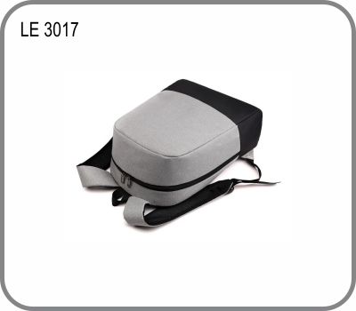 LE 3017