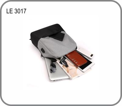 LE 3017