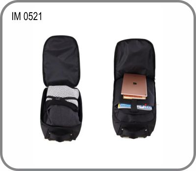 IM 0521